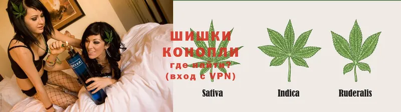 Канабис LSD WEED  дарнет шоп  Белая Калитва 